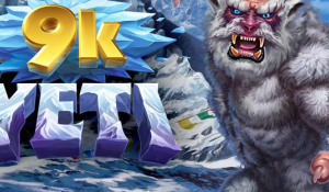 9k Yeti
