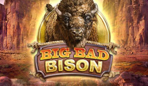 Big Bad Bison