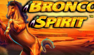 Bronco Spirit