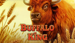 Buffalo King