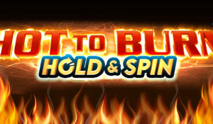Hot to Burn Hold & Spin