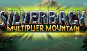 Silverback Multiplier Mountain