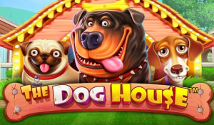 The Dog House