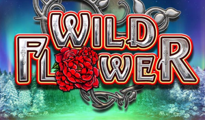 Wild Flower