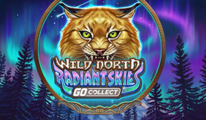 Wild North Radiant Skies