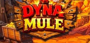 Dyna Mule